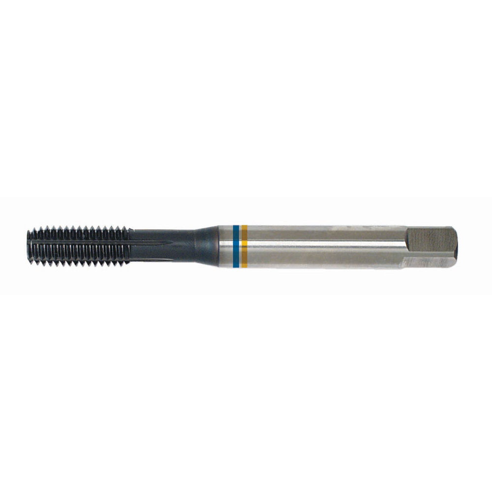 Maschinen-Gewindeformer HSS-E PM DIN371C M3 6HX Durchgang/Grundloch TiCN