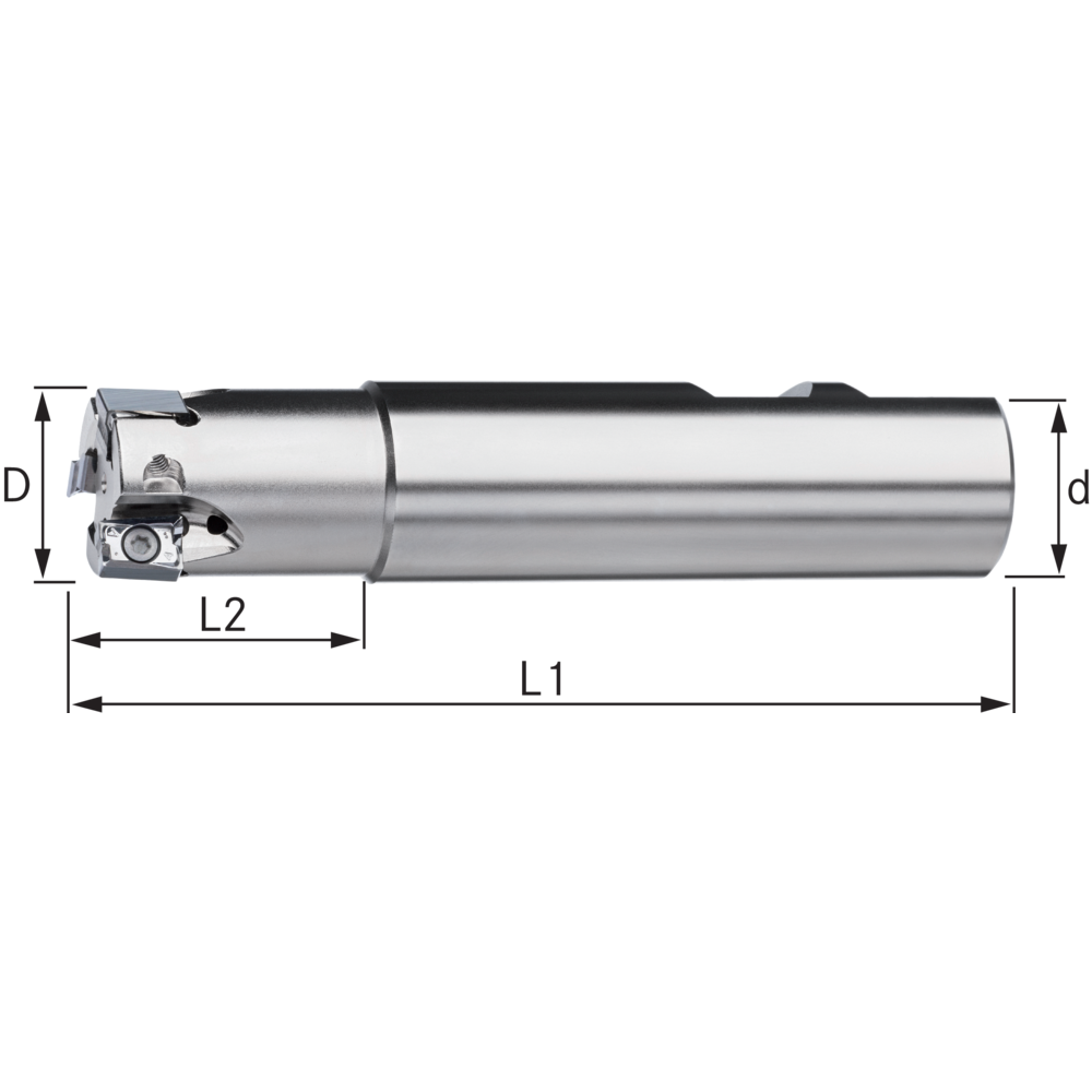 Schaftfräser 4-10-POWER 20x100mm, D1=20mm, für 3 x LN.X100605