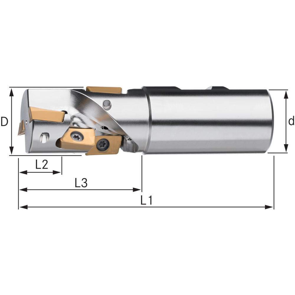 Schrupp-Wendelschaftfräser 25x105mm, Schaft-25mm, für 2 Wendeplatten AP..1604