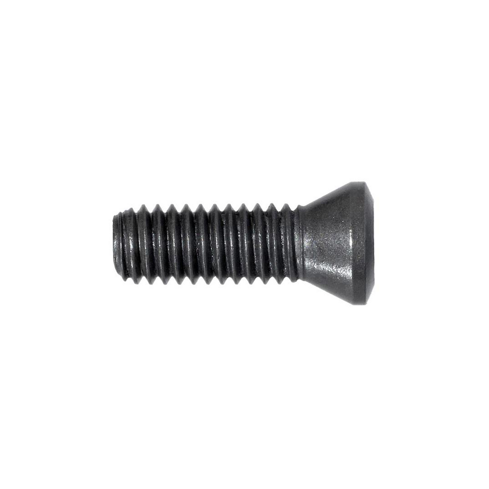 Spannschraube M5 x 10 mm
