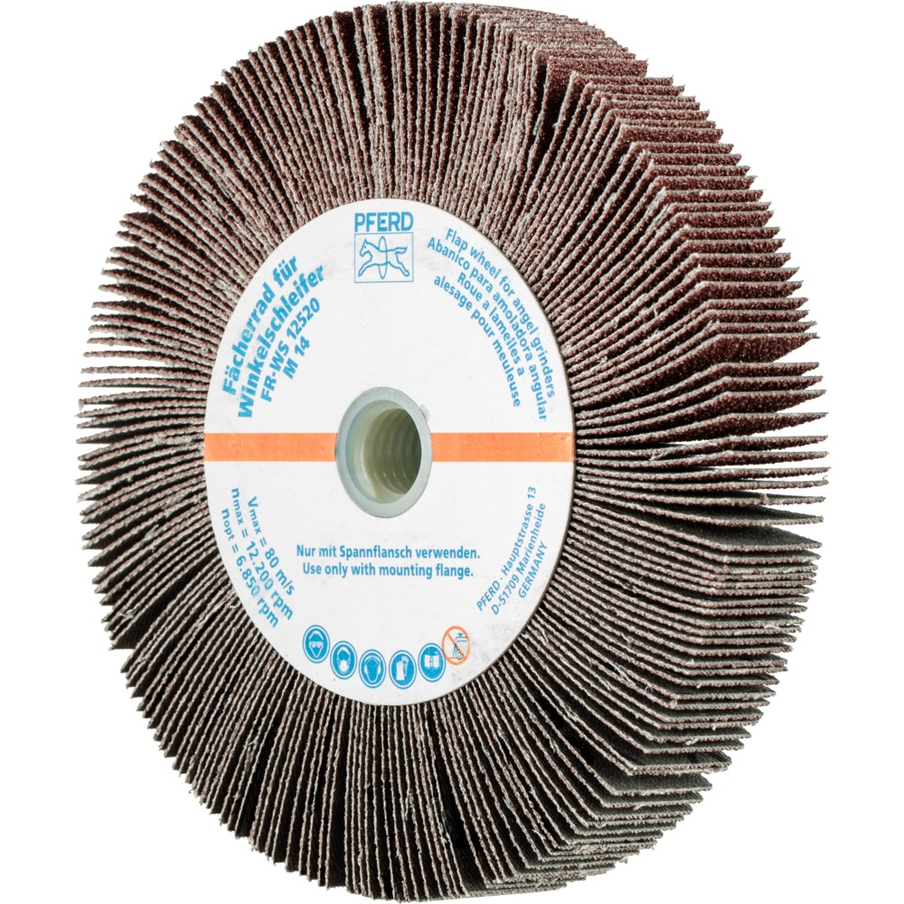 Fächerrad für Winkelschleifer FR WS 12520 M14 A 60