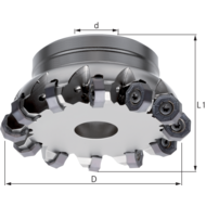 WSP Planfräser D= 63 Z= 7