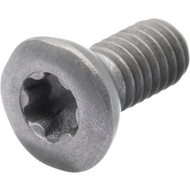 Spannschraube für Wendeschneidplatten M4 x 10 mm