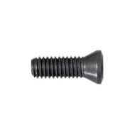 Spannschraube M5 x 10 mm