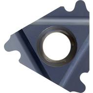 Gewindeschneidplatte Vollprofil Rund DIN405 16IR Z 10RD HC5630