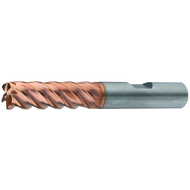 Schaftfräser VHM TVC 4xD ø6x25x70mm Z5 HB