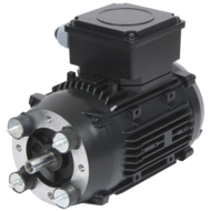 Motor 1,1 kW für Filter FX4002, FX3000, F21, F13, F14