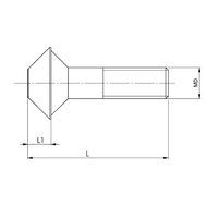 Fangbolzen-Schraube Typ K10 M8x37