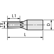 Profilräumdorn Torx 8, Aufnahme-ø 8mm TIALN