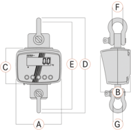 Kranwaage HFD, Wägebereich 600kg (kleinste Ablesung 50g)