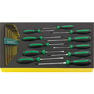 WERKZEUGSORTIMENT TCS WT 4622-4650